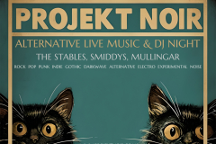 Projekt Noir Gig Poster 13 September 2025