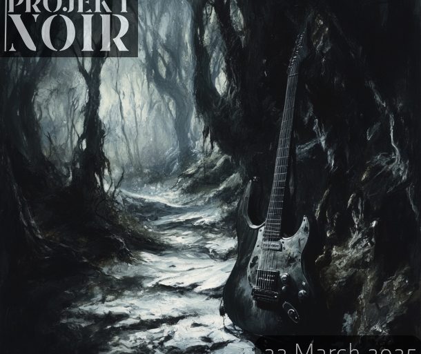 Projekt Noir 22 March 2025 at the Stables, Mullingar