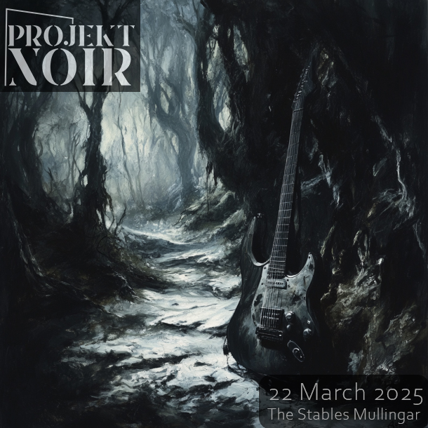 Projekt Noir 22 March 2025 at the Stables, Mullingar